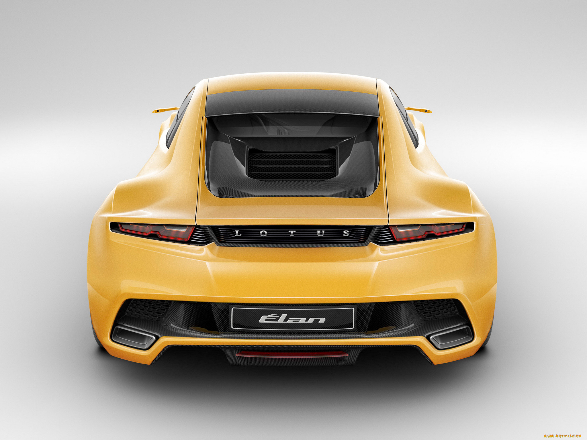 , lotus